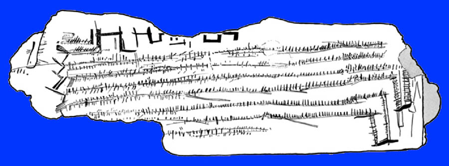 Line drawing of the front face of the Thaïs bone,