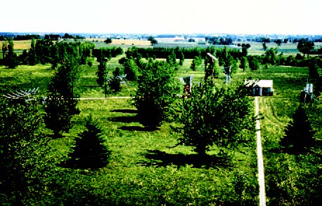 DDO Radio Observatory ca. 1960 (Courtesy of the De