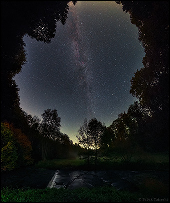 “Framed by the trees”: photograph by Babak A. 